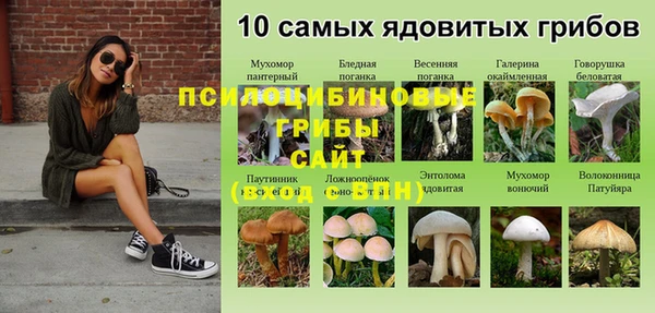 2c-b Алексеевка